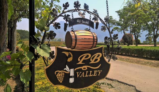 PB Valley Vineyard and Wine Tasting Tour | Khao Yai | Bangkok | Thailand | Pelago