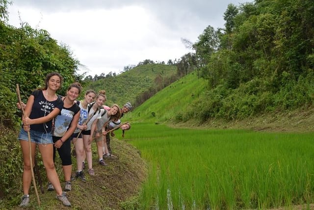 one-day-trekking-bamboo-rafting-at-mae-wang-w-lunch_1