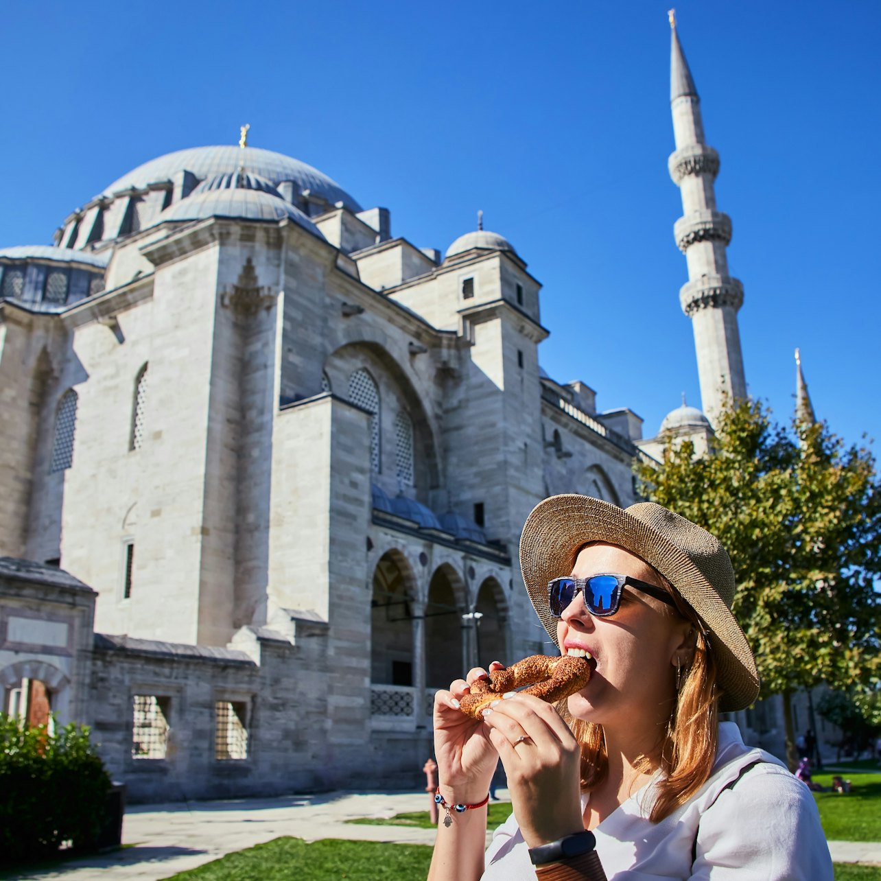 Istanbul Mosques Walking Tour. Hagia Sophia, Suleymaniye & Blue Mosque ...