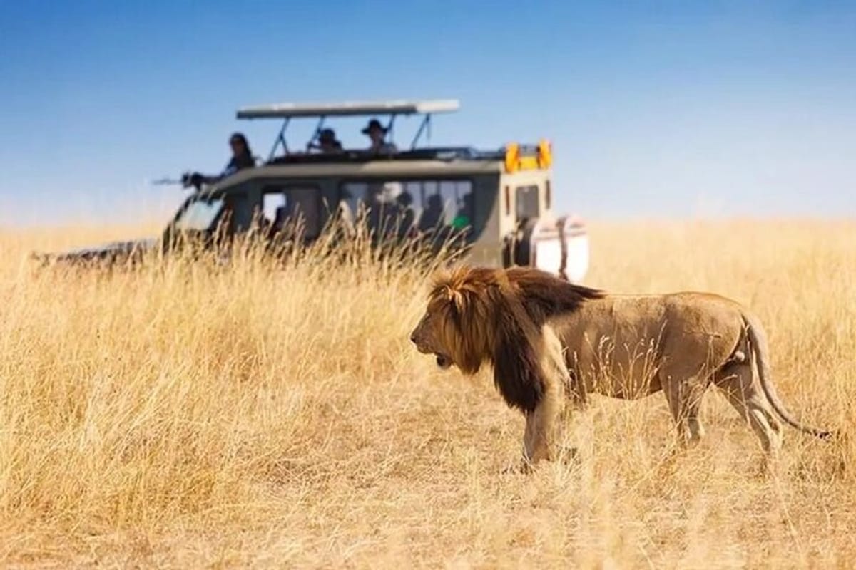 lion-safari-in-antalya-with-transfer_1