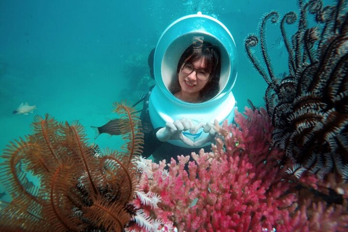 nha-trang-private-tour-sea-walking-with-photograph-underwater_1