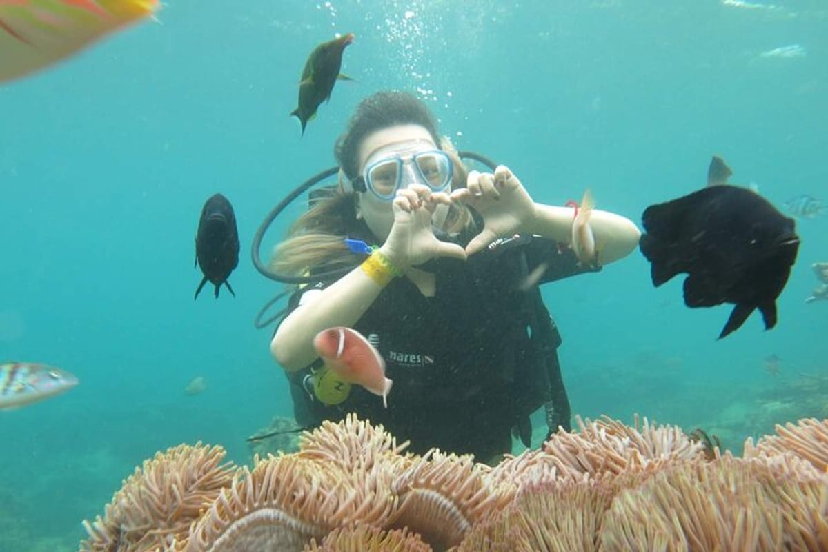 Snorkeling at Coral Reef